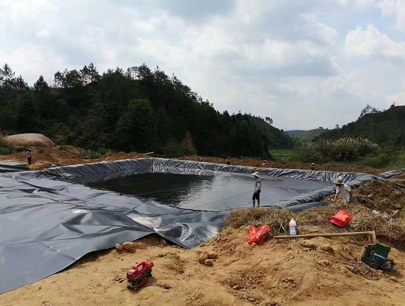 滲濾液池施工